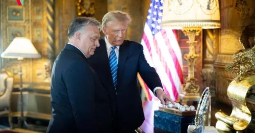 Прем'єр Угорщини Орбан зустрівся з Трампом і закликав його "повернути мир" - INFBusiness