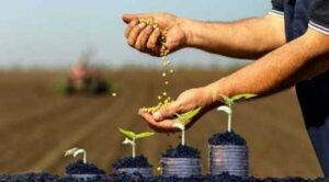 Нові можливості фінансування для фермерів із земельним банком до 500 га
