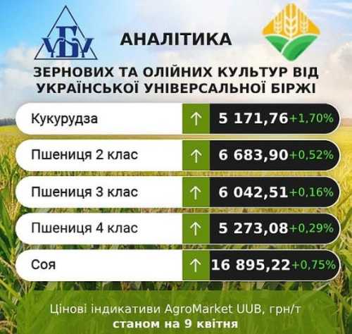 Ринок сільгосппродукції: минулого тижня ціни дещо підвищились - INFBusiness