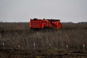 Логістика, знищена техніка та заміновані поля – з чим стикаються миколаївські аграрії
