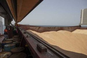 Із серпня минулого року морським коридором перевезли 26 млн т зерна, – Кубраков