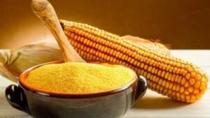 На Полтавщині за підтримки USAID АГРО збудують новий завод із виробництва крупи