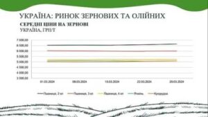 В AgroMarket UUB опублікували аналітичний звіт ринку зернових та олійних за березень