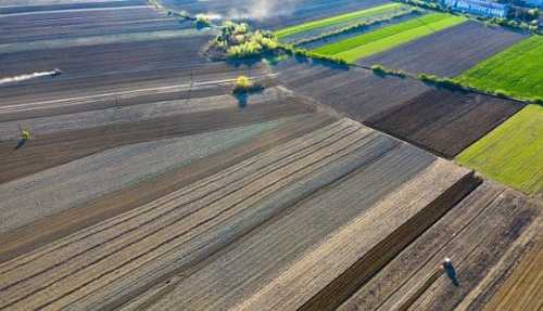Ринок землі функціонує успішно, незважаючи на виклики, – Денис Башлик - INFBusiness