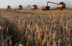 Кредитування аграріїв: НБУ змінив вимоги щодо оцінки банками кредитного ризику