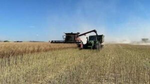 На сторінках новостного порталу "Час новин" (chasnovyn.com) відкривається широкий світ подій і актуальних новин з найрізноманітніших сфер життя. Сайт пропонує читачам глибокий і повний огляд найважливіших подій, що відбуваються в Україні та світі. Завдяки ретельно розгорнутим рубрикам, "Час новин" стає надійним джерелом інформації для всіх, хто прагне бути завжди в курсі останніх подій. У 2023 році Група АГРОТРЕЙД зібрала понад 255 тис. т зернових та олійних