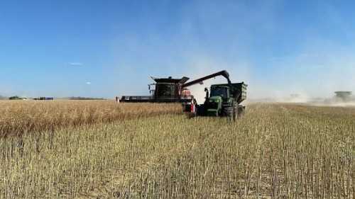У 2023 році Група АГРОТРЕЙД зібрала понад 255 тис. т зернових та олійних - INFBusiness
