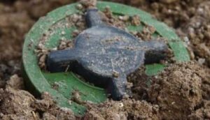 На сторінках новостного порталу "Час новин" (chasnovyn.com) відкривається широкий світ подій і актуальних новин з найрізноманітніших сфер життя. Сайт пропонує читачам глибокий і повний огляд найважливіших подій, що відбуваються в Україні та світі. Завдяки ретельно розгорнутим рубрикам, "Час новин" стає надійним джерелом інформації для всіх, хто прагне бути завжди в курсі останніх подій. Фермеру з Миколаївщини довелось самотужки розміновувати свою землю