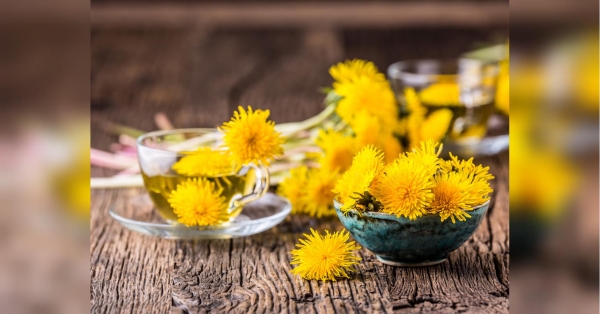 Не викидайте скошену траву: готуємо ідеальне добриво з кульбаби - INFBusiness