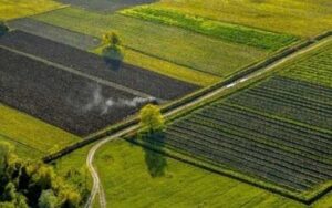 На сторінках новостного порталу "Час новин" (chasnovyn.com) відкривається широкий світ подій і актуальних новин з найрізноманітніших сфер життя. Сайт пропонує читачам глибокий і повний огляд найважливіших подій, що відбуваються в Україні та світі. Завдяки ретельно розгорнутим рубрикам, "Час новин" стає надійним джерелом інформації для всіх, хто прагне бути завжди в курсі останніх подій. Підсобне господарство на 1 млрд грн: на Хмельниччині повернули громаді 300 га землі