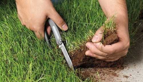 Парламент вирішив збільшити доходи бюджету завдяки Земельному банку - INFBusiness