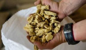 Ціни на соєву макуху в травні досягли 4-місячного максимуму