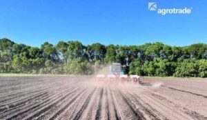 У Групі АГРОТРЕЙД вперше посіяли арахіс