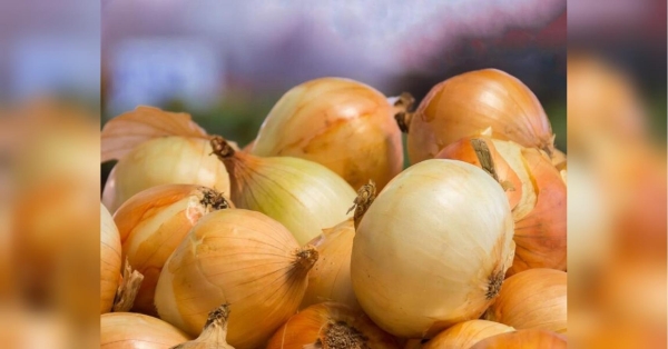 Не викидайте використану заварку — вона забезпечить вам небувалий урожай цибулі - INFBusiness