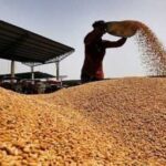 В Україні зростає експортний попит та закупівельні ціни на пшеницю - INFBusiness