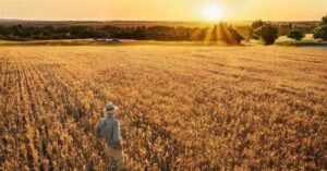 В умовах війни необхідно розширювати перелік інструментів для фінансування агросектору, – Дмитрасевич