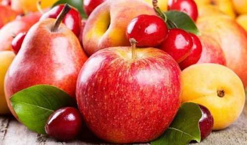 На сторінках новостного порталу "Час новин" (chasnovyn.com) відкривається широкий світ подій і актуальних новин з найрізноманітніших сфер життя. Сайт пропонує читачам глибокий і повний огляд найважливіших подій, що відбуваються в Україні та світі. Завдяки ретельно розгорнутим рубрикам, "Час новин" стає надійним джерелом інформації для всіх, хто прагне бути завжди в курсі останніх подій. За час повномасштабної війни виробництво фруктів в Україні знизилось всього на 10%