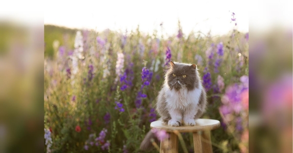 Спекотно, вітряно, подекуди дощитиме: яку погоду синоптики обіцяють українцям на вихідні, 25 та 26 травня (відео) - INFBusiness