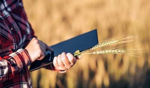 В ДАР продовжили приймати заявки на субсидію на оброблювані угіддя на звільнених територіях - INFBusiness