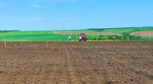 На Одещині почали сіяти бавовник