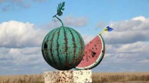 На Херсонщині засадили кавунами 570 гектарів