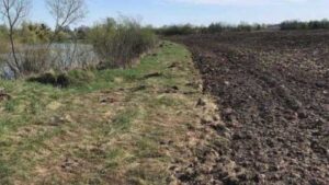 Фермер з Рівненщини заплатив штраф 12,5 тис. грн за розорану прибережну смугу