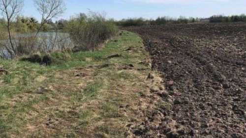 Фермер з Рівненщини заплатив штраф 12,5 тис. грн за розорану прибережну смугу - INFBusiness