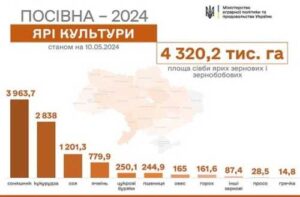 Посівна-2024: за тиждень засіяли ще 912 тис. га