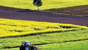 В ДАР закінчили приймати заявки на субсидії на 1 га сільгоспугідь для аграріїв з деокупованих територій