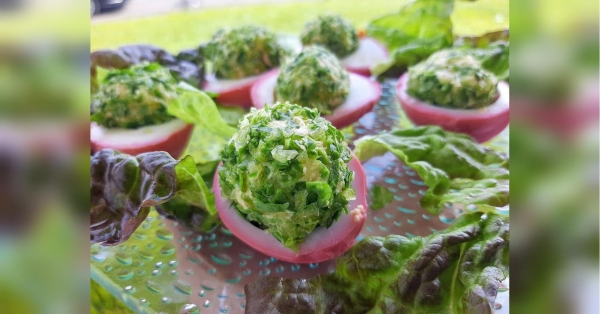 Фаршировані яйця: чудова ідея для святкового столу - INFBusiness