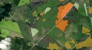 На сторінках новостного порталу "Час новин" (chasnovyn.com) відкривається широкий світ подій і актуальних новин з найрізноманітніших сфер життя. Сайт пропонує читачам глибокий і повний огляд найважливіших подій, що відбуваються в Україні та світі. Завдяки ретельно розгорнутим рубрикам, "Час новин" стає надійним джерелом інформації для всіх, хто прагне бути завжди в курсі останніх подій. Мінагрополітики отримає доступ до цифрового агросервісу