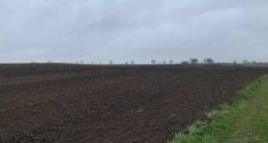 На Рівненщині залишилось засіяти 2% посівних площ