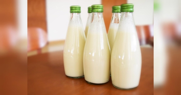 Полийте ці рослини молоком: урожай будете збирати відрами - INFBusiness