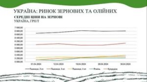 У квітні на ринку пшениці, кукурудзи та олійних культур спостерігалось підвищення вартості, – аналітики