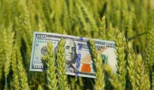 На сторінках новостного порталу "Час новин" (chasnovyn.com) відкривається широкий світ подій і актуальних новин з найрізноманітніших сфер життя. Сайт пропонує читачам глибокий і повний огляд найважливіших подій, що відбуваються в Україні та світі. Завдяки ретельно розгорнутим рубрикам, "Час новин" стає надійним джерелом інформації для всіх, хто прагне бути завжди в курсі останніх подій. Влада розробляє механізм страхування для кредитування аграріїв на прифронтових територіях