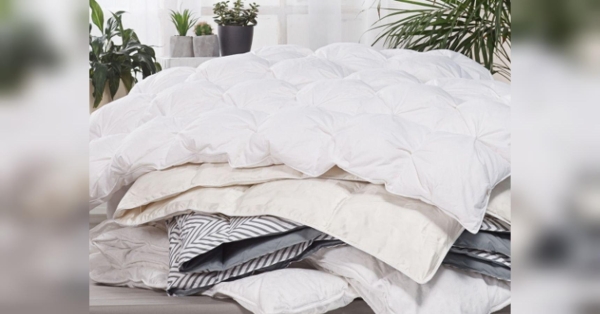 Знову будуть чистими як у казці: Марина Жукова порадила, як випрати і просушити величезну ковдру або плед - INFBusiness