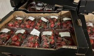 Чергова перемога росії – знешкоджено 553 кілограми перцю та помідорів