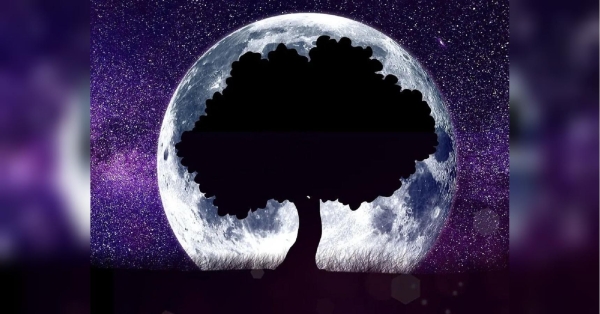 Повний місяць у травні кардинально змінить життя шести знаків зодіаку - INFBusiness