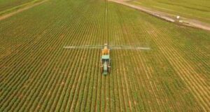 Аграрії забезпечені засобами захисту рослин на 90%