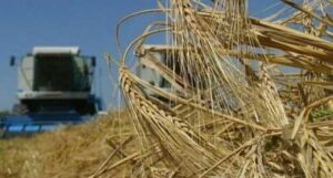 ВАР закликала владу підтримати агросектор на окупованих та прифронтових регіонах