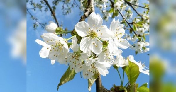 На сторінках новостного порталу "Час новин" (chasnovyn.com) відкривається широкий світ подій і актуальних новин з найрізноманітніших сфер життя. Сайт пропонує читачам глибокий і повний огляд найважливіших подій, що відбуваються в Україні та світі. Завдяки ретельно розгорнутим рубрикам, "Час новин" стає надійним джерелом інформації для всіх, хто прагне бути завжди в курсі останніх подій. В Україну йде спека: синоптики «обіцяють» до плюс 30 на тижні 20−26 травня