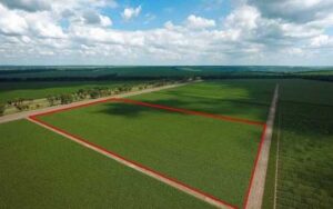 Найбільший попит на ринку землі мають колишні «підмораторні» землі
