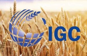 Україну переобрали до складу адміністративного комітету Міжнародної ради по зерну