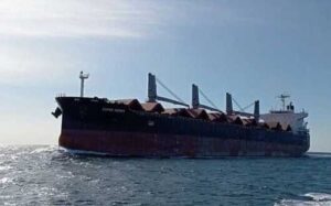 Україна відправила Чорноморським коридором вже 52 млн т зерна та вантажів, – посол США