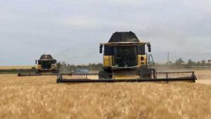Жнива-2024 розпочато: на Миколаївщині збирають озимий ячмінь
