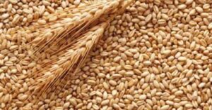 У травні експорт агропродукції зменшився