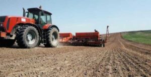 На Львівщині зросли площі під цукровим буряком, соєю та овочами