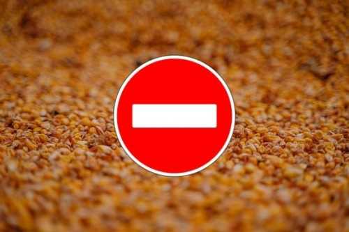 ЄС встановив мита, які фактично зупинять імпорт зернових та олійних з Росії та Білорусі