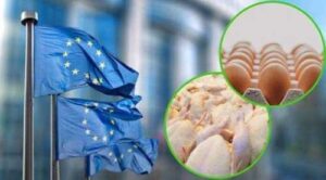 Нові правила торгівлі агропродукцією з ЄС: невідомо, як будуть діяти екстрені гальмування, – Денис Марчук