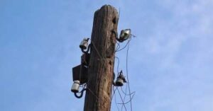 Прийом заявок на субсидії на 1 га с/г угідь зупинили через перебої з електропостачанням